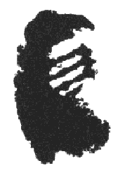 Voidoid face